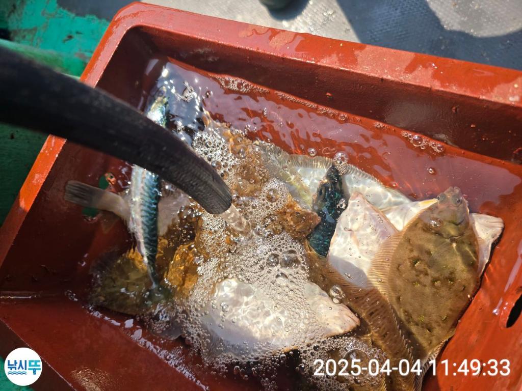 F2651872O2.jpg