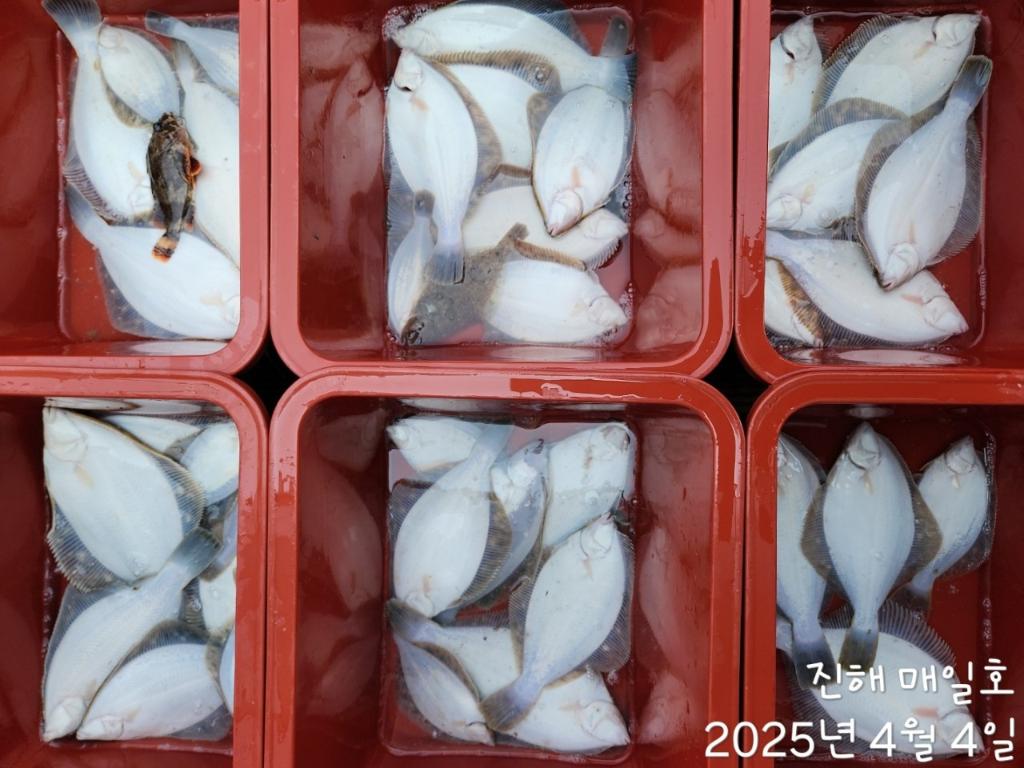 F2652167QC.jpg