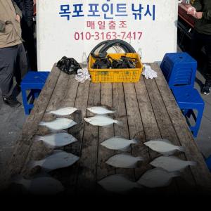 조황, [목포도다리낚시] 04일 씨알 마리수 좋습니다