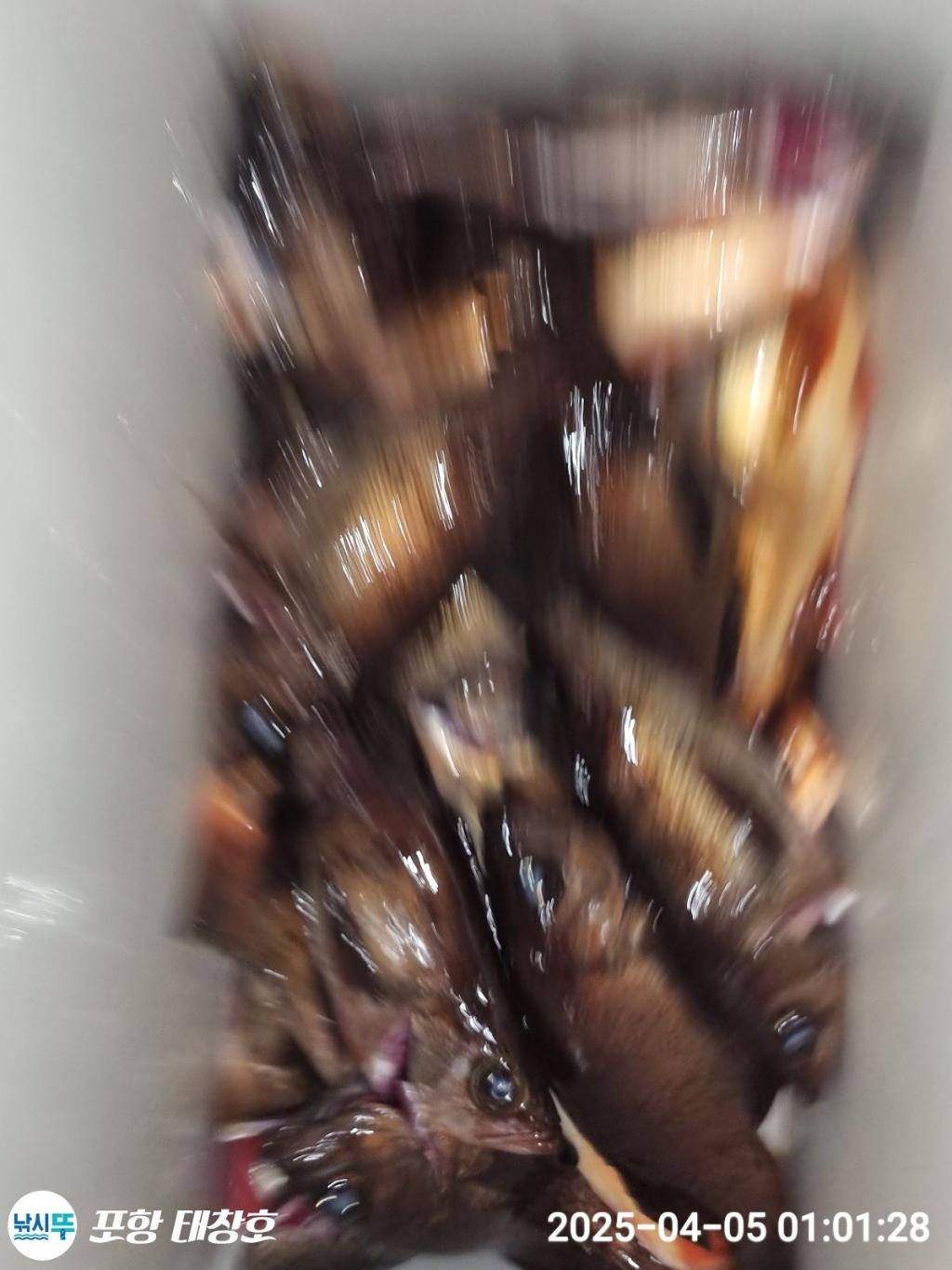 F265230823.jpg