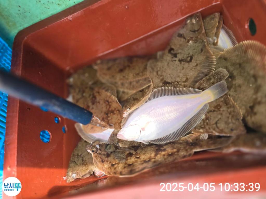 F2652479LV.jpg