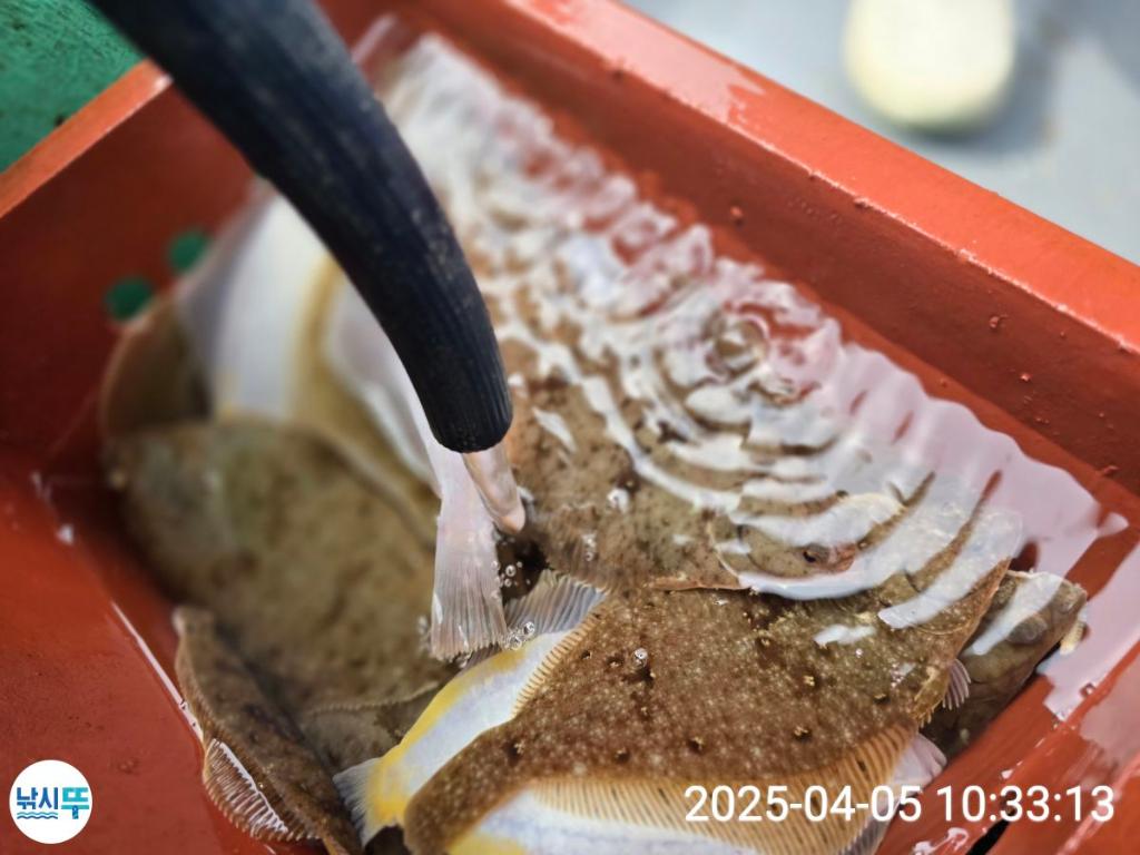 F2652483XX.jpg