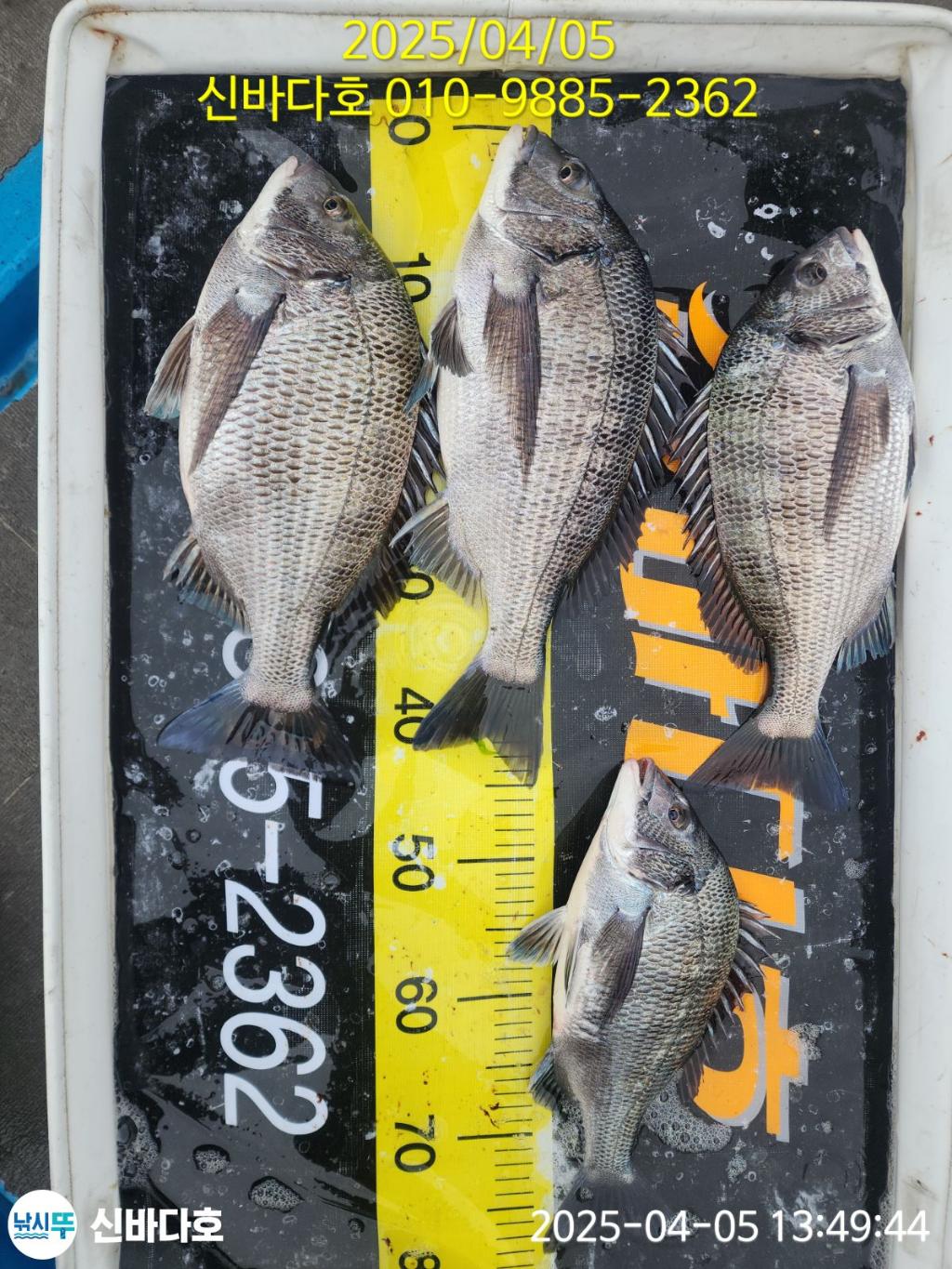 F2652689E3.jpg