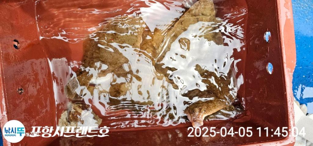 F2652809OM.jpg
