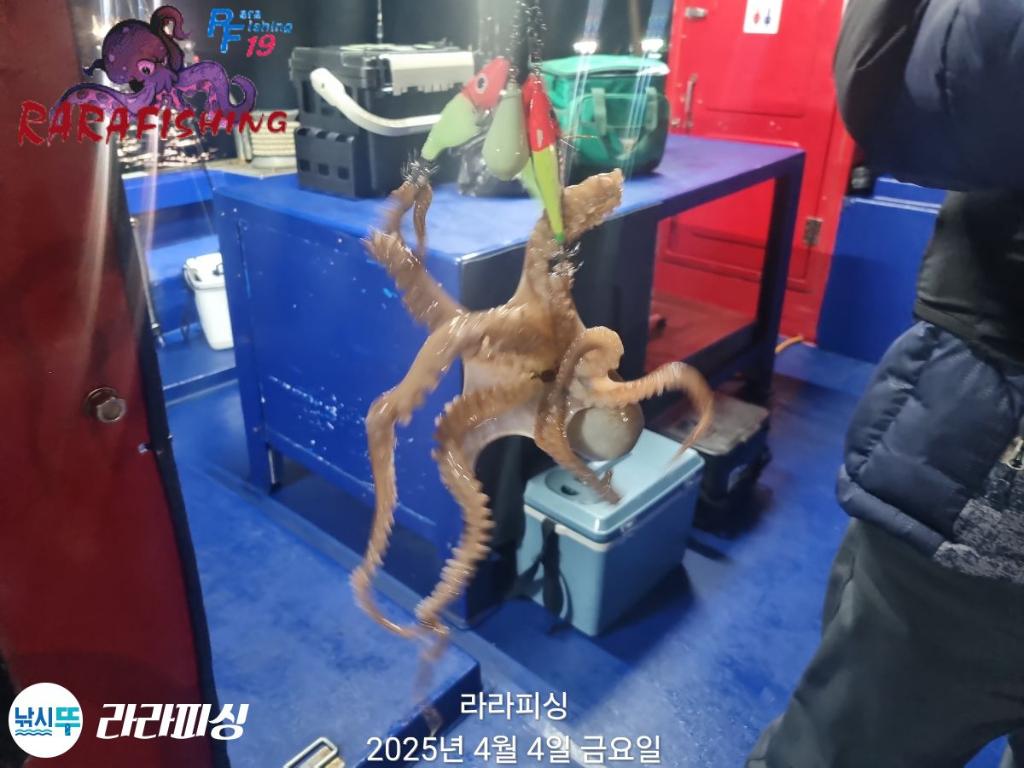 F2652859P5.jpg