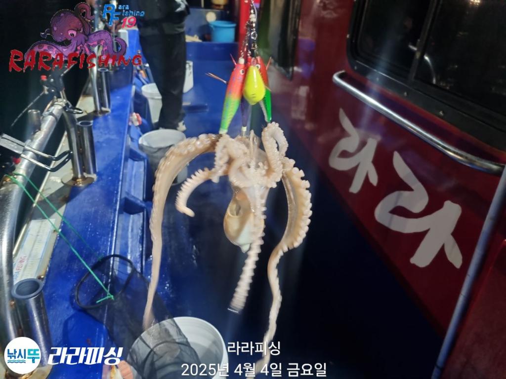F2652864NC.jpg