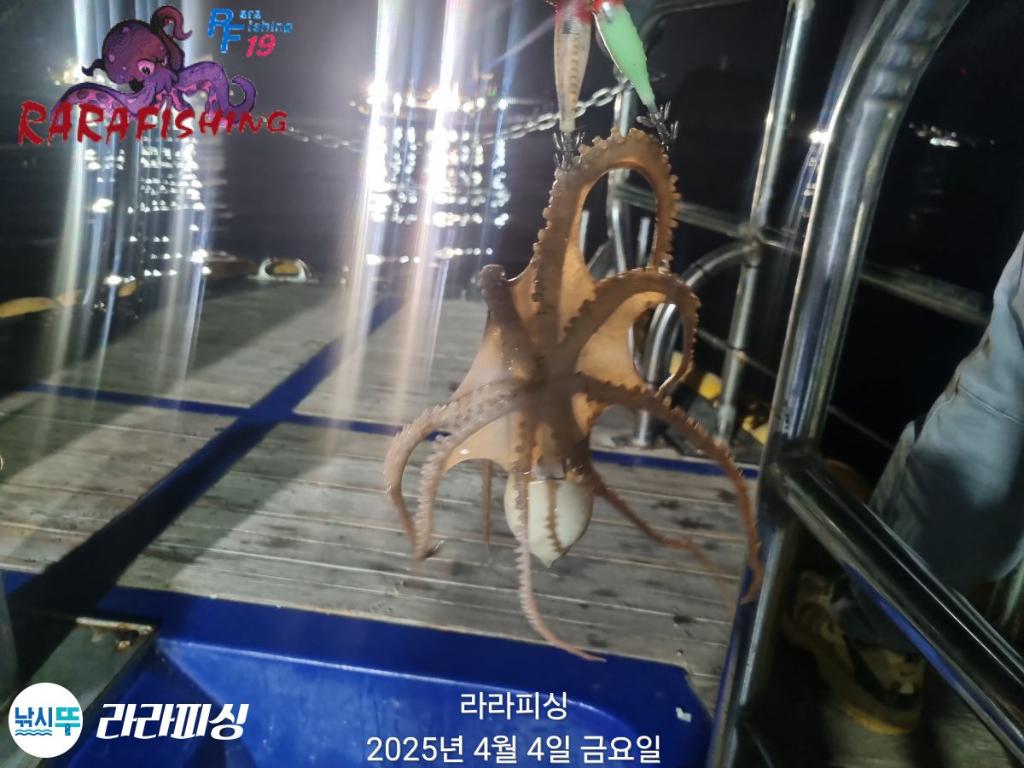 F2652871CN.jpg