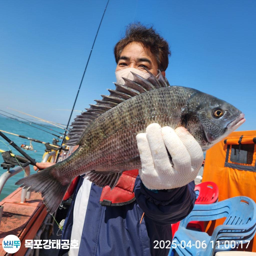 F2653277DY.jpg