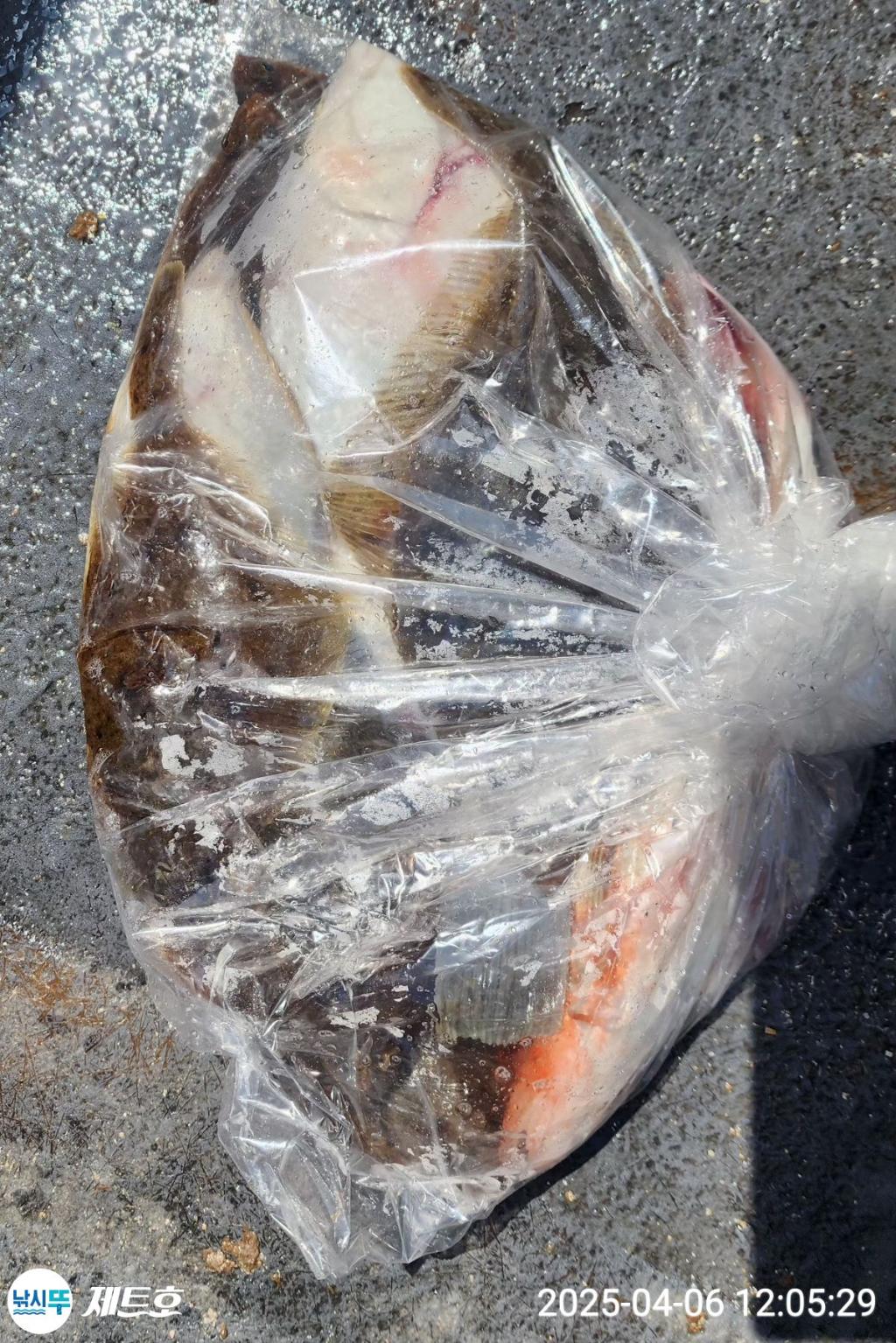 F26532909X.jpg