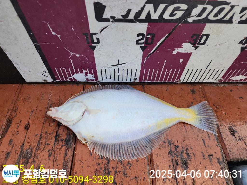 F26533365T.jpg