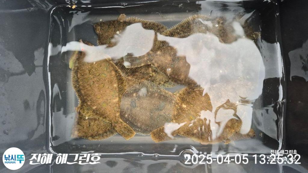 F26535006C.jpg