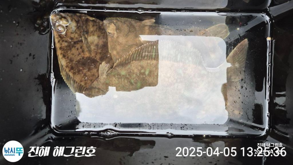 F2653501YA.jpg