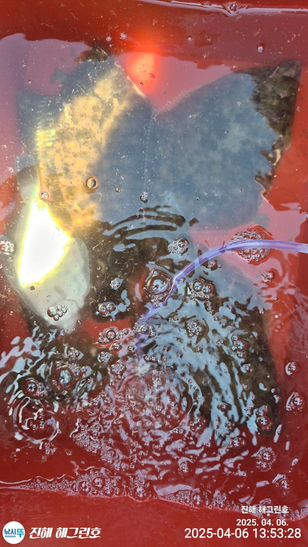 F2653512OR.jpg