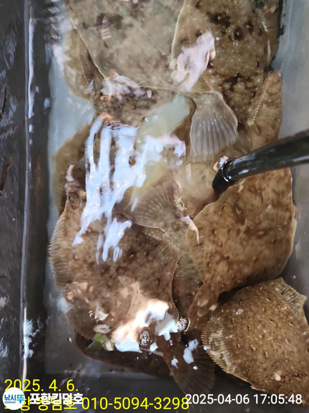F26535775F.jpg