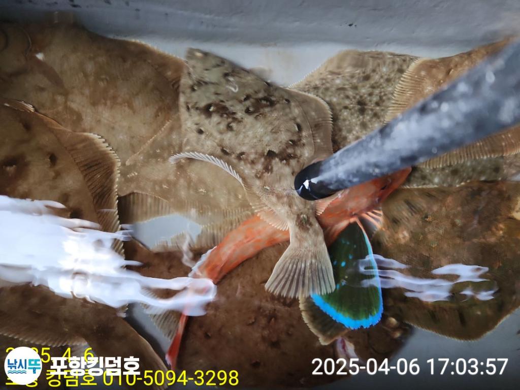F2653584V9.jpg