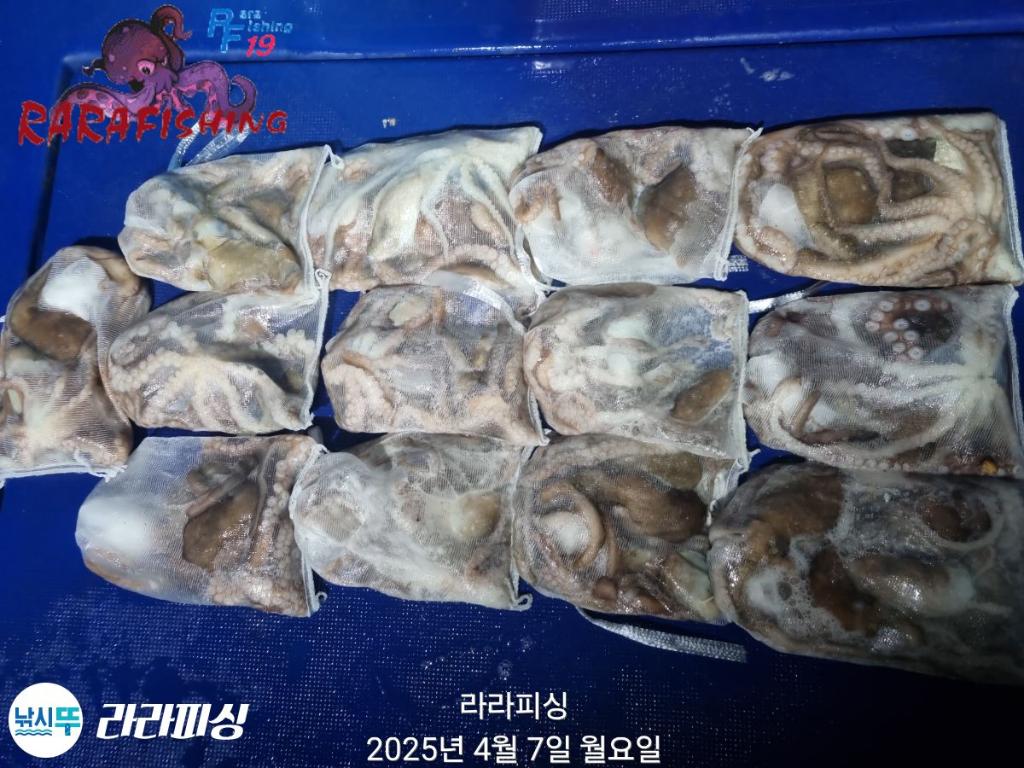 F2654317R1.jpg