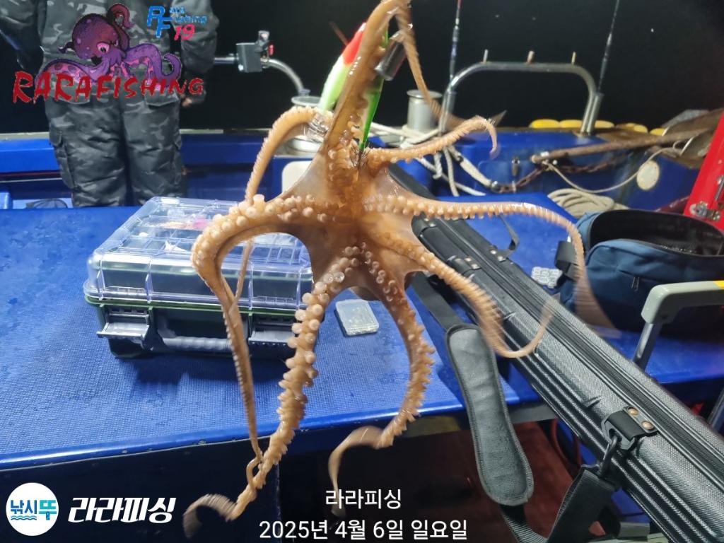 F265434263.jpg