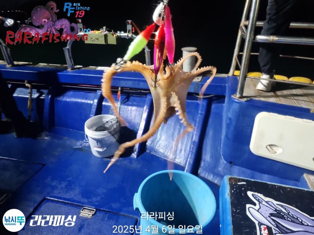 F2654344SC.jpg