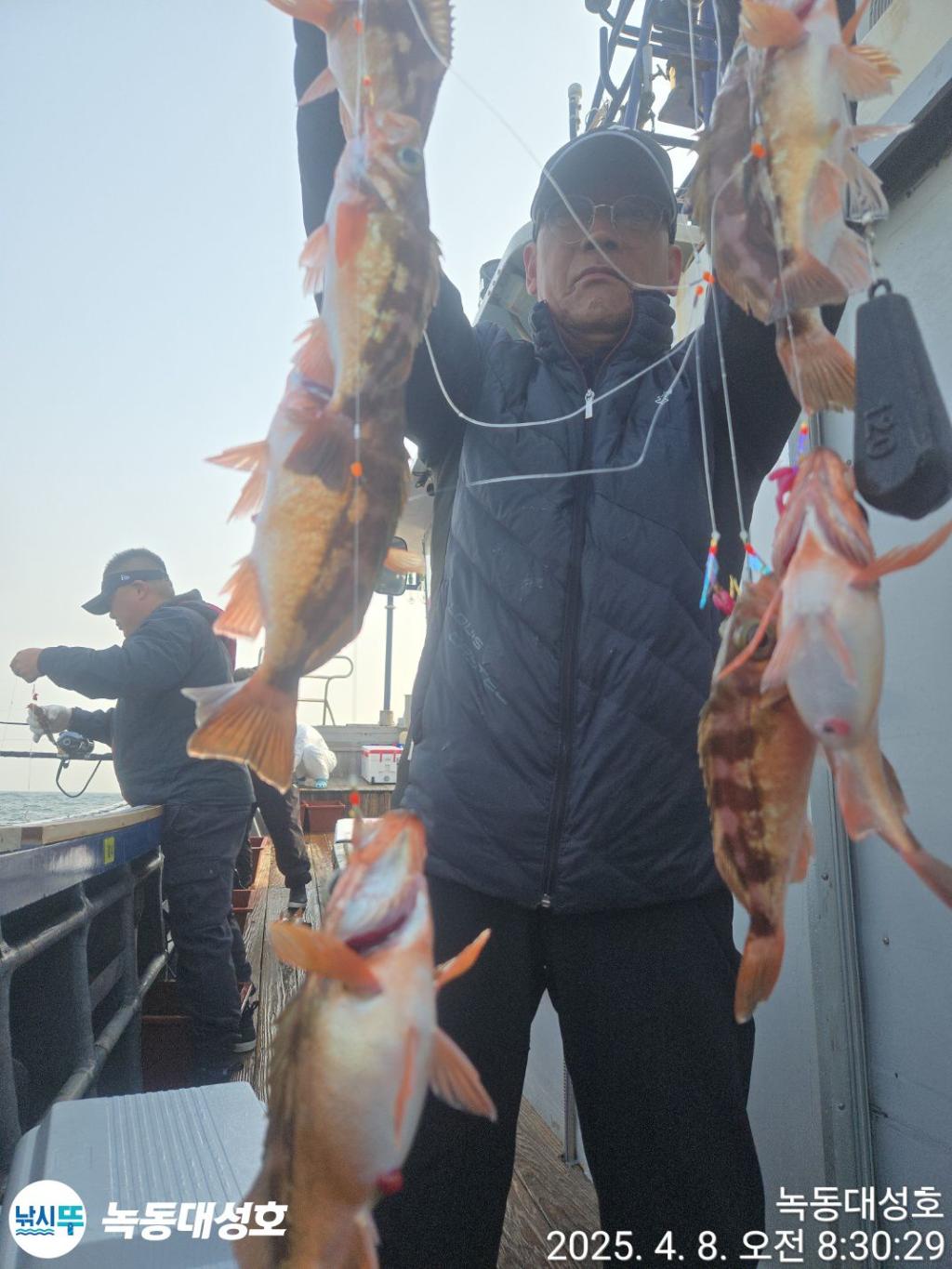 낚시뚜,열기,우럭,녹동항,녹동대성호,낚시뚜14