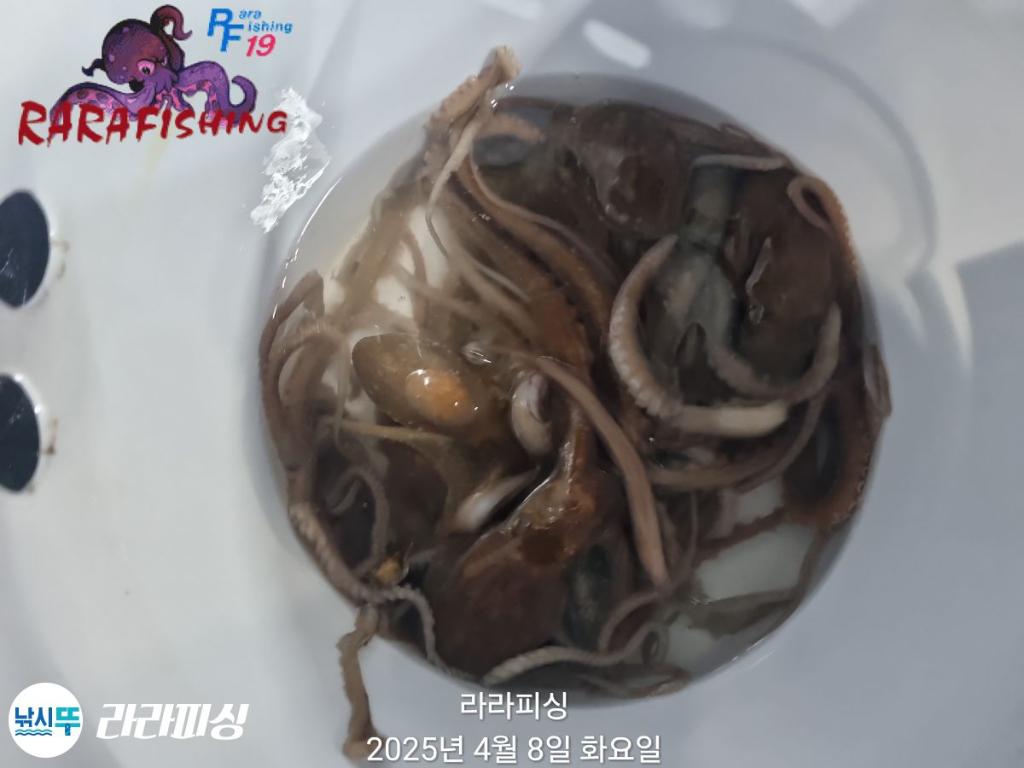 F2655217YH.jpg
