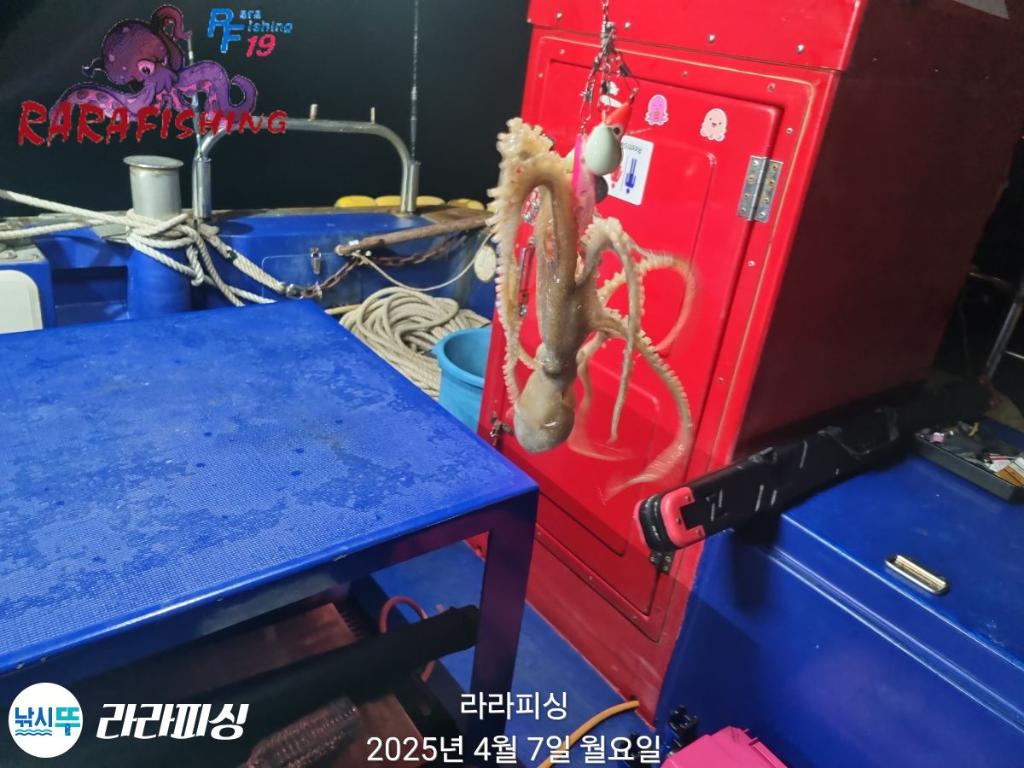F265522664.jpg