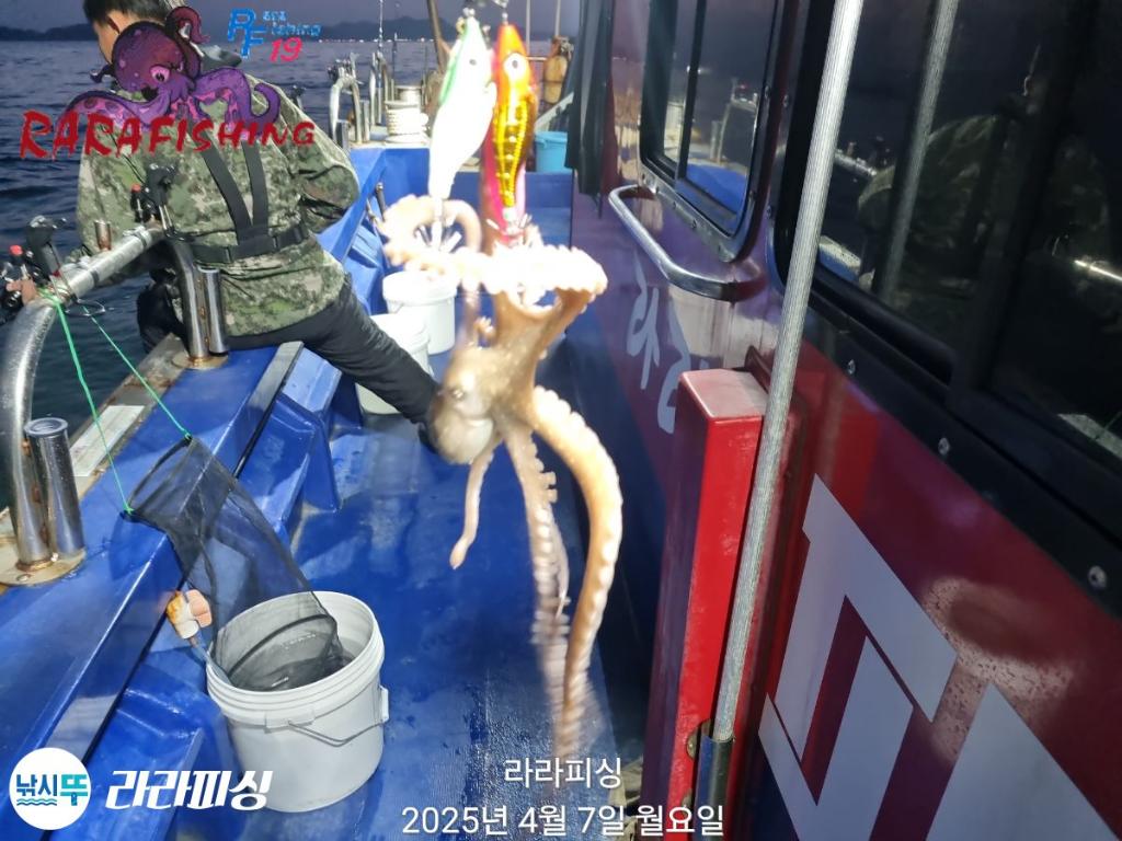 F2655236ZV.jpg