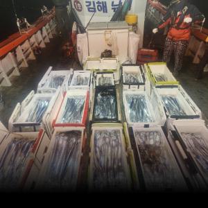 조황, 먼바다갈치  출조 예약가능합니다 