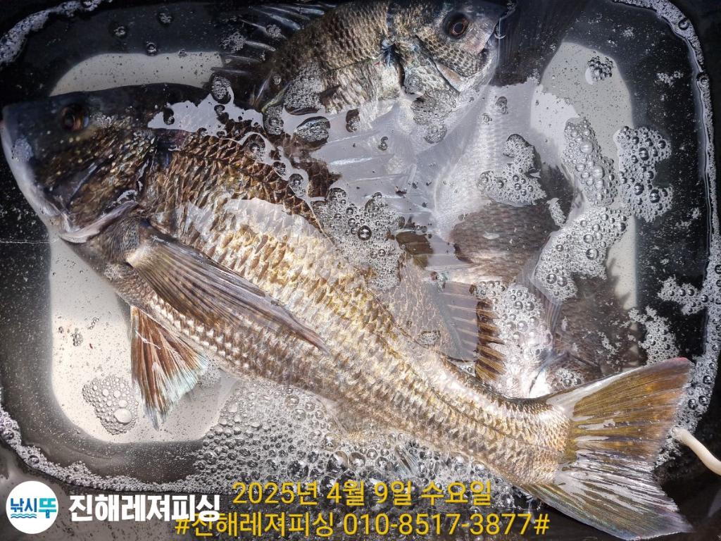 F26558849R.jpg