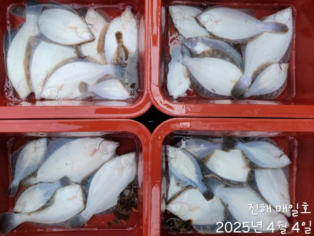 F2656015SD.jpg