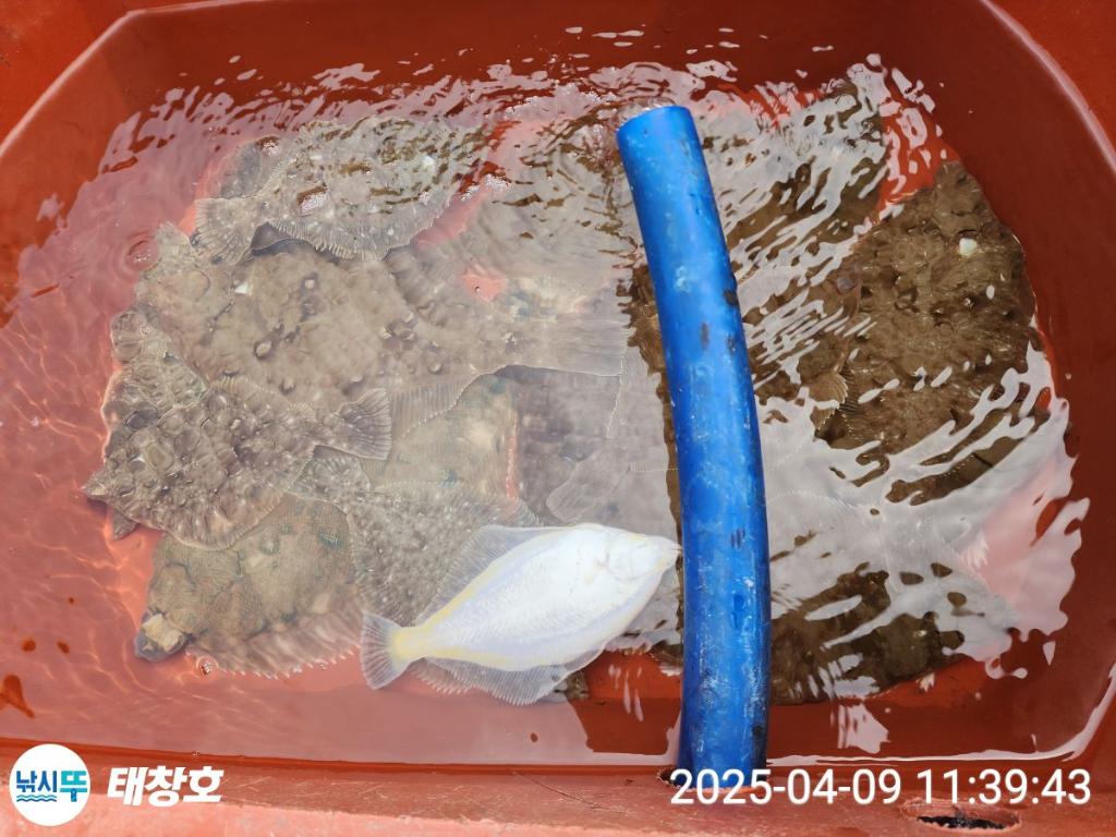 F2656096CA.jpg