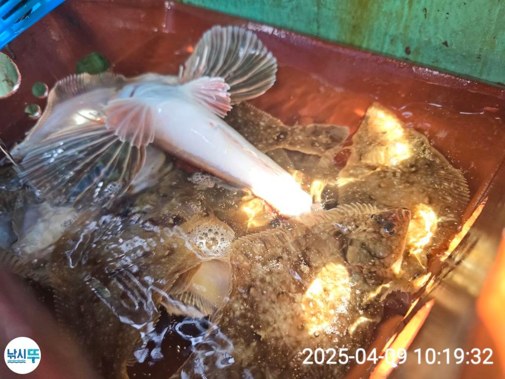 F26561860O.jpg