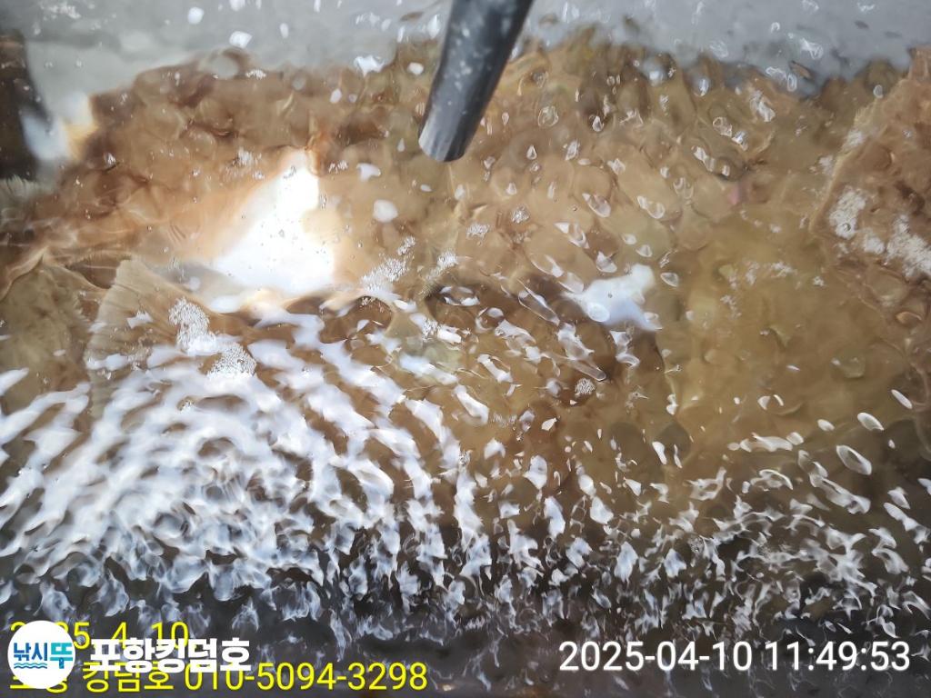 F26564993A.jpg
