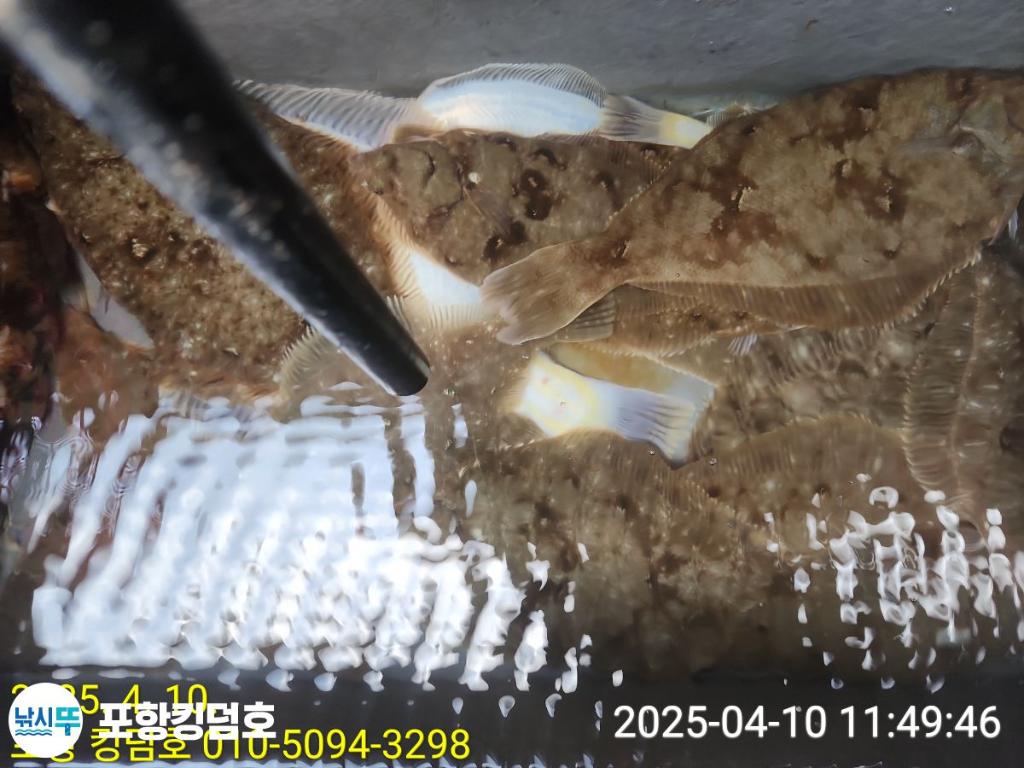 F2656500XX.jpg