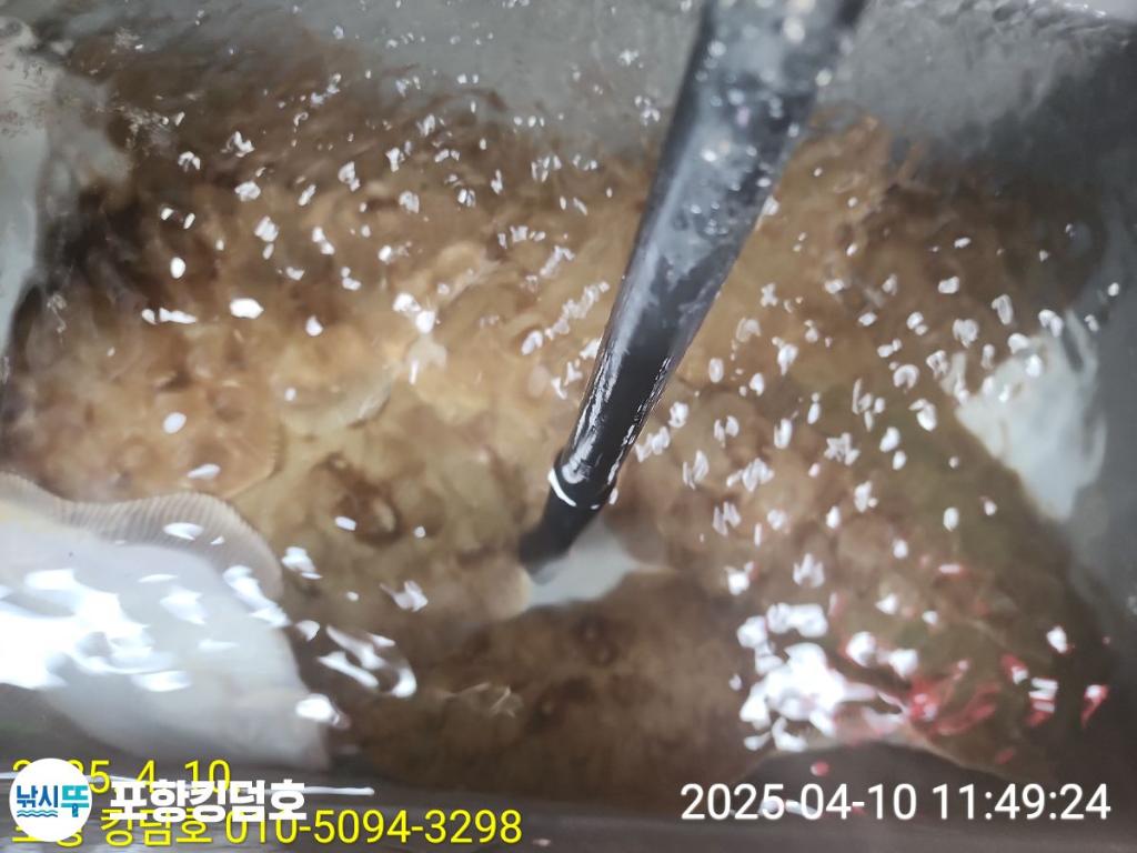 F2656502OC.jpg