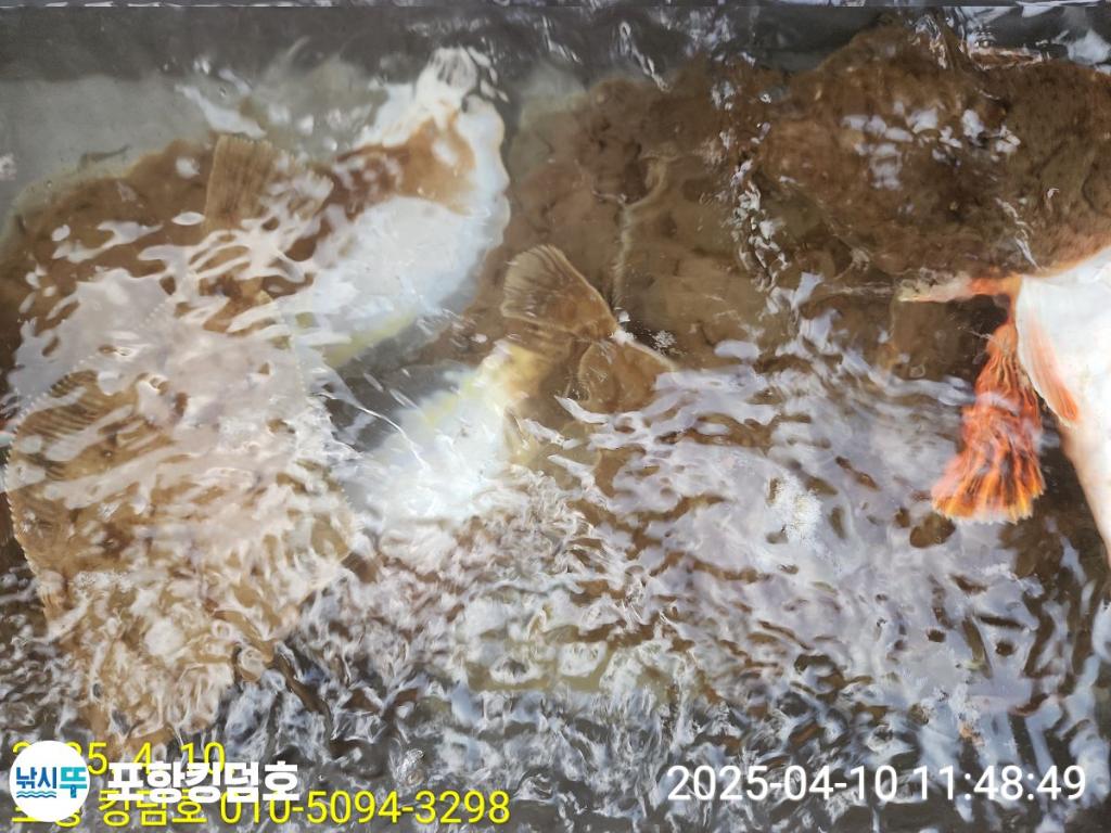 F26565043B.jpg