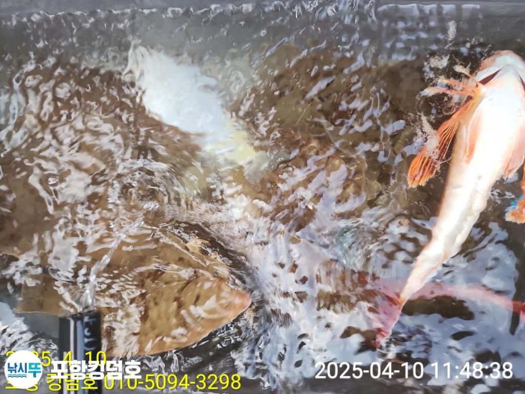 F2656505XQ.jpg