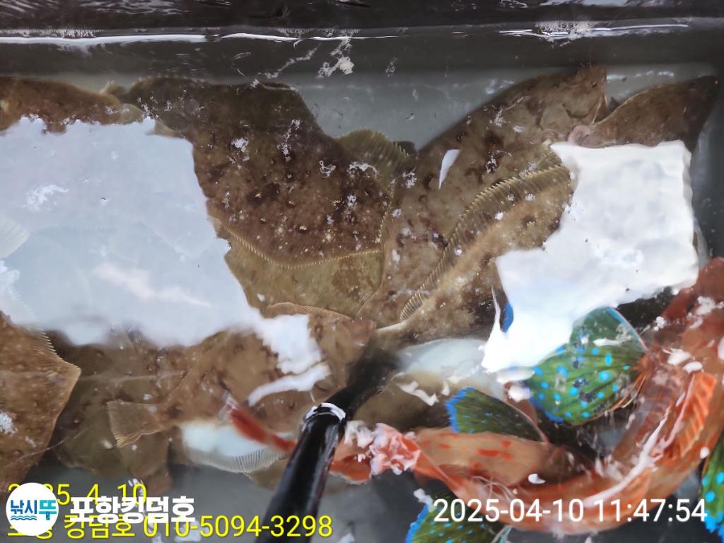 F2656506KF.jpg