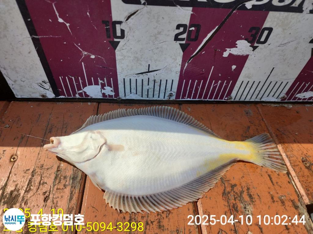 F2656512WF.jpg