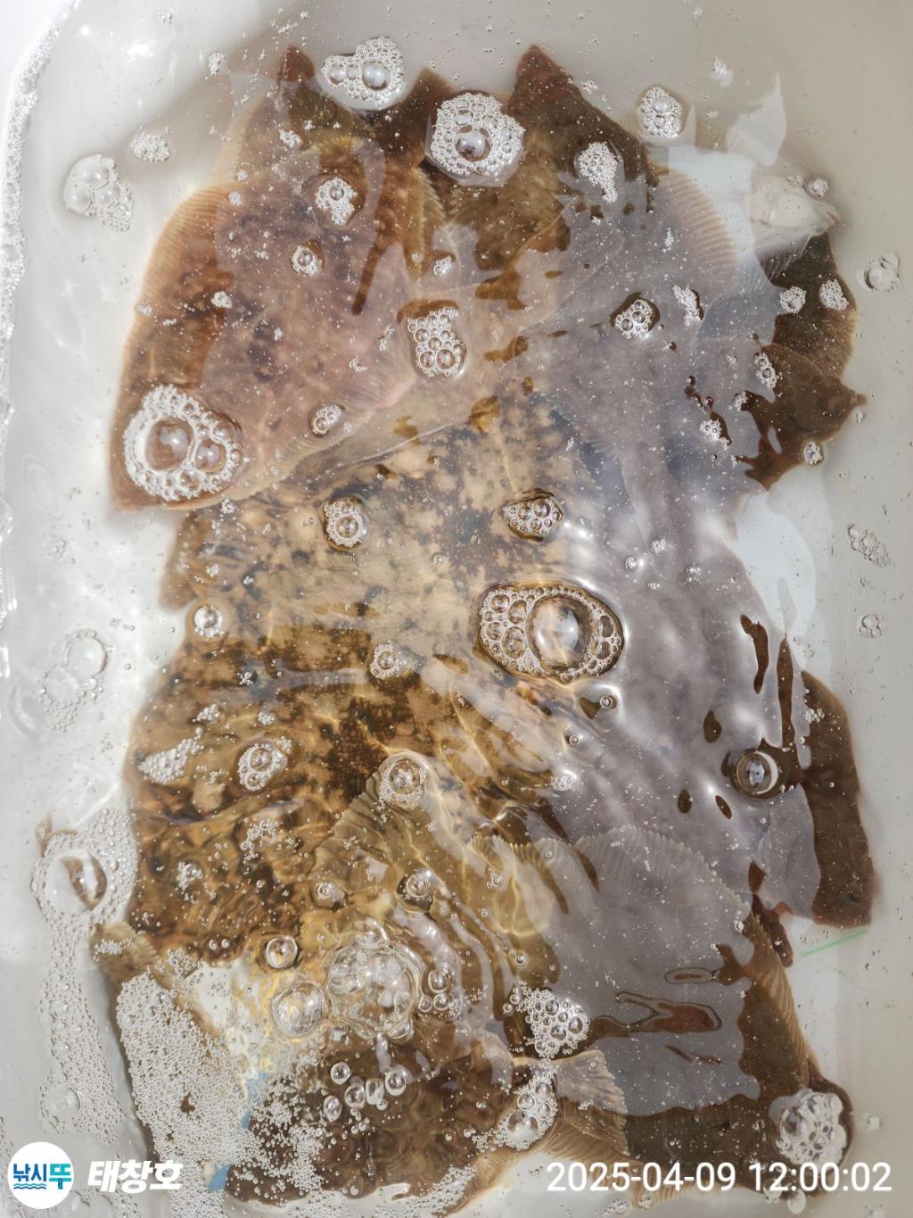 F26566184S.jpg