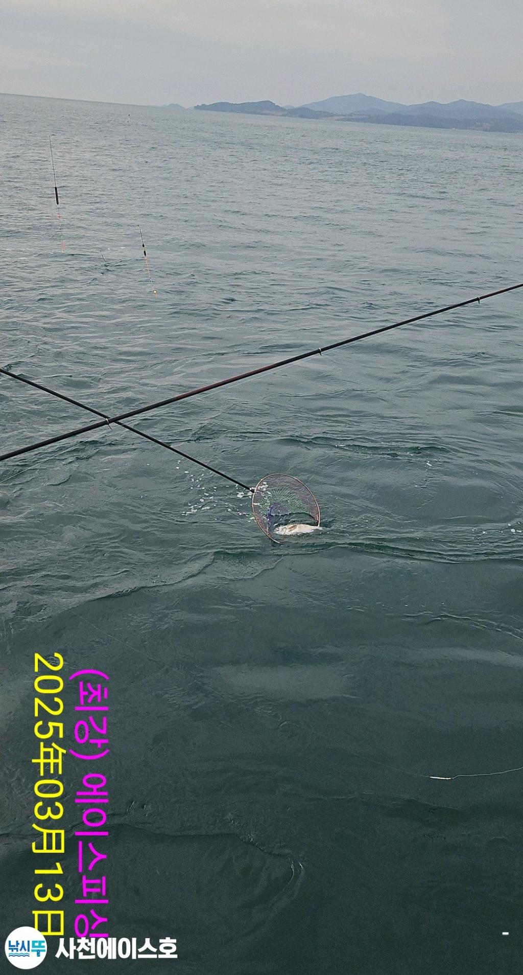 F2656628SJ.jpg