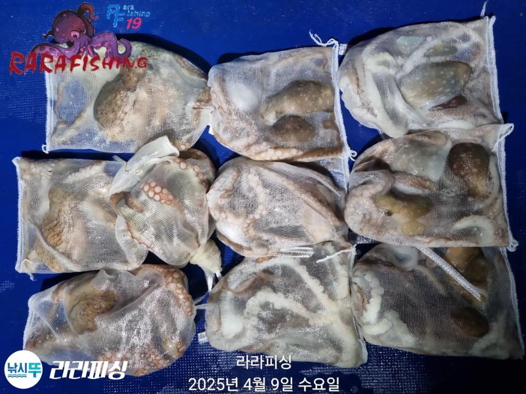 F2656731YG.jpg
