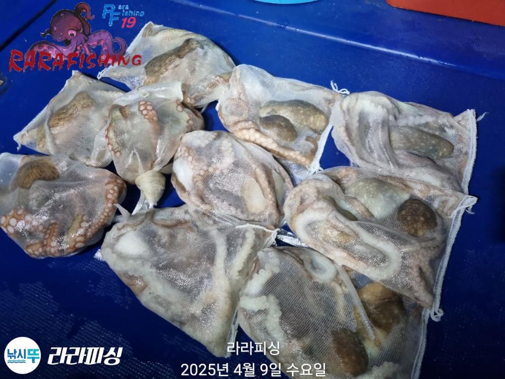 F2656732QN.jpg