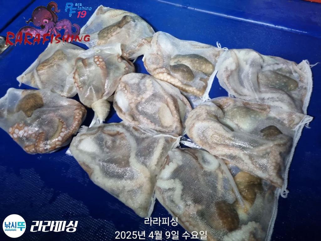 F2656733W2.jpg