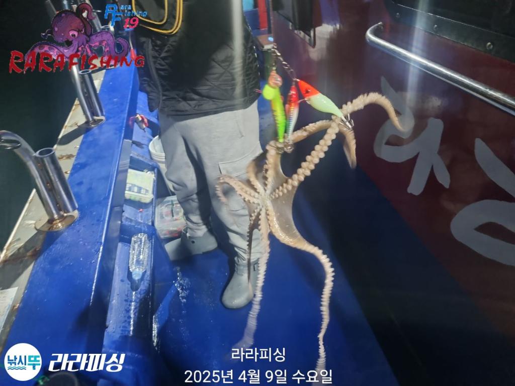 F2656747M7.jpg