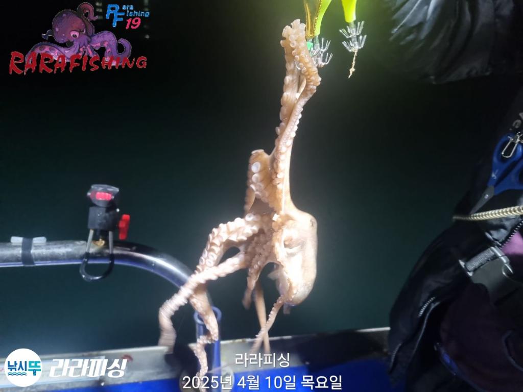 F2656749GN.jpg