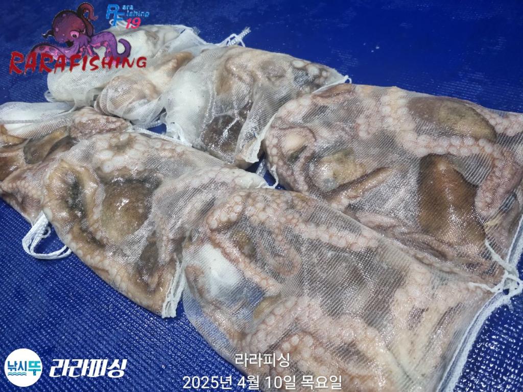 F26567529B.jpg