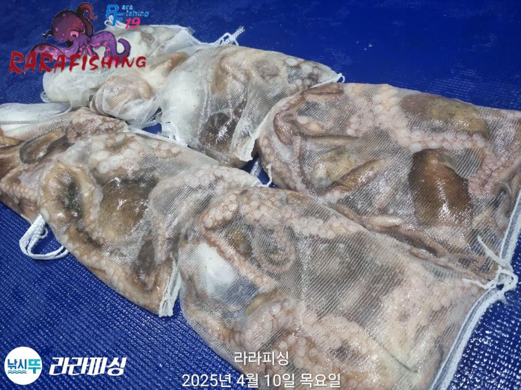 F2656753M8.jpg