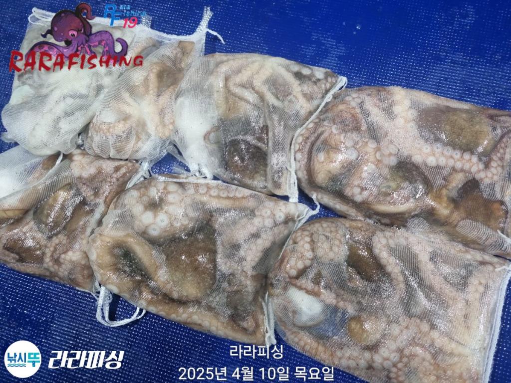 F2656755SR.jpg