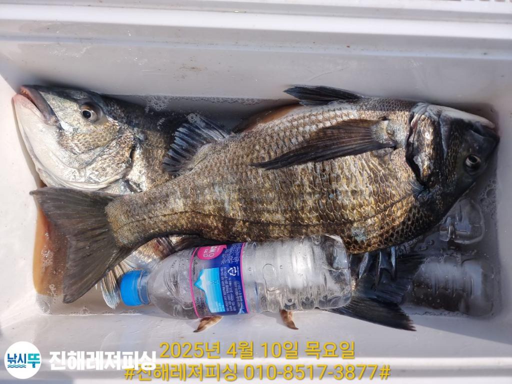 F2656805LB.jpg