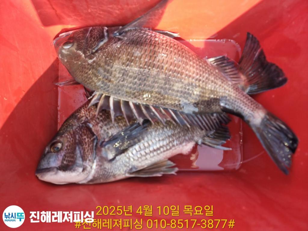 F2656807UM.jpg